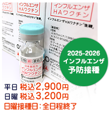 �C���t���G���U���N�`���\�h�ڎ�